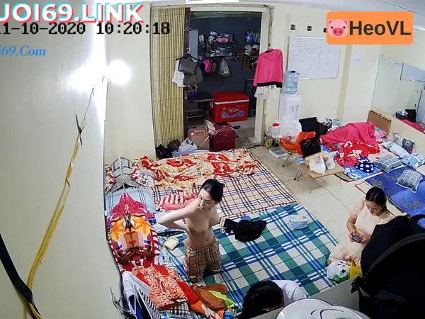 xxx viet nam Quay lén động nhền nhện tinh